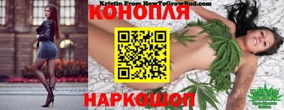 spice Котовск